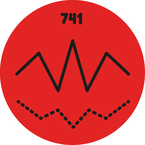 Empírico 741 Logo